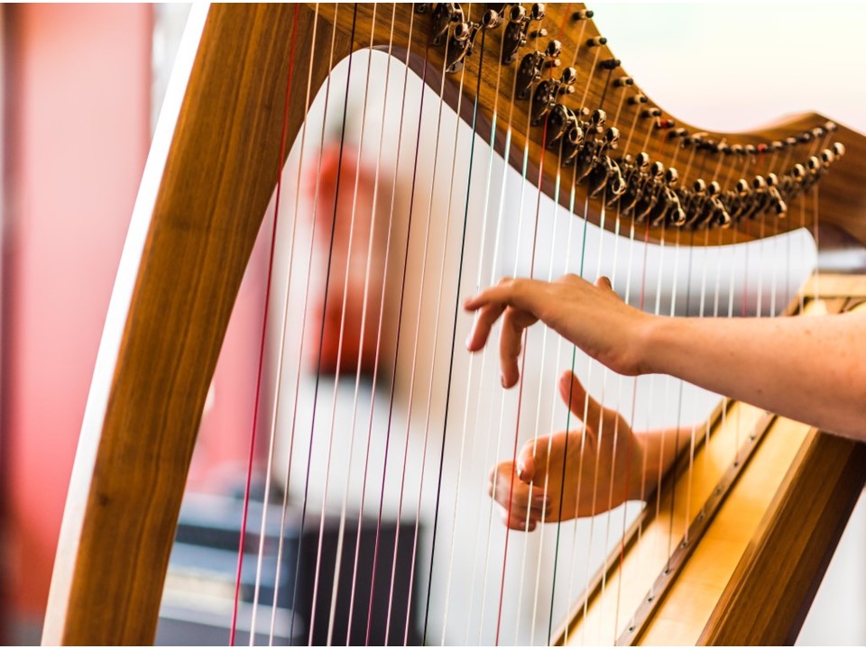 How do String Instruments Conduct Sound? - Little to Great Scientists