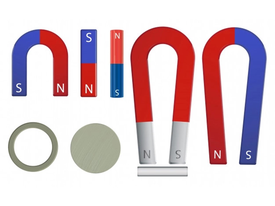 Make Your Own Little to Great Scientists