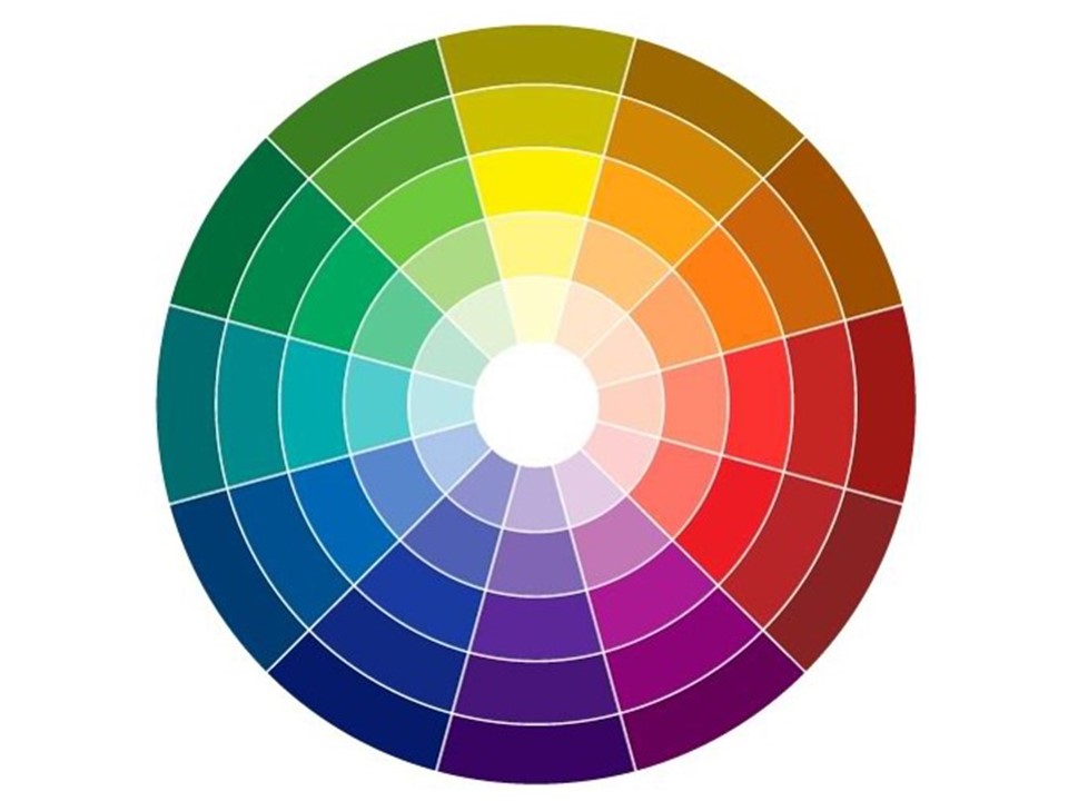 What are Color Variations? - Little to Great Scientists