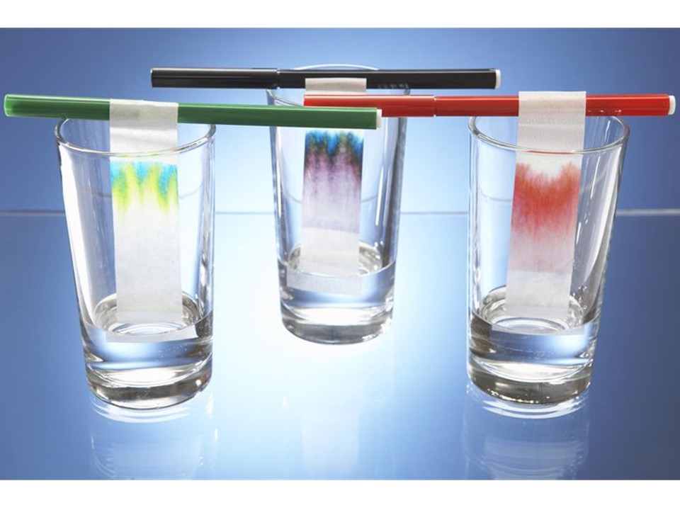What is Chromatography? Little to Great Scientists
