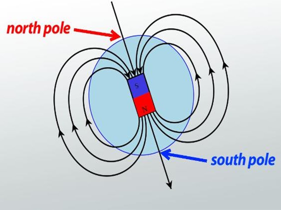 What is Magnetic Polarity? - Little to Great Scientists