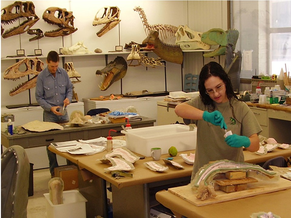 What is Paleontology? Little to Great Scientists