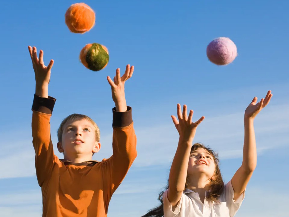 What is the Pull of Gravity? Little to Great Scientists